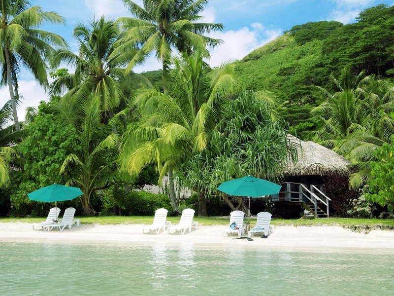 Tropical Beach Scene — Green