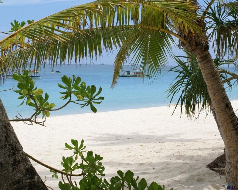 Tropical Beach Scene — White