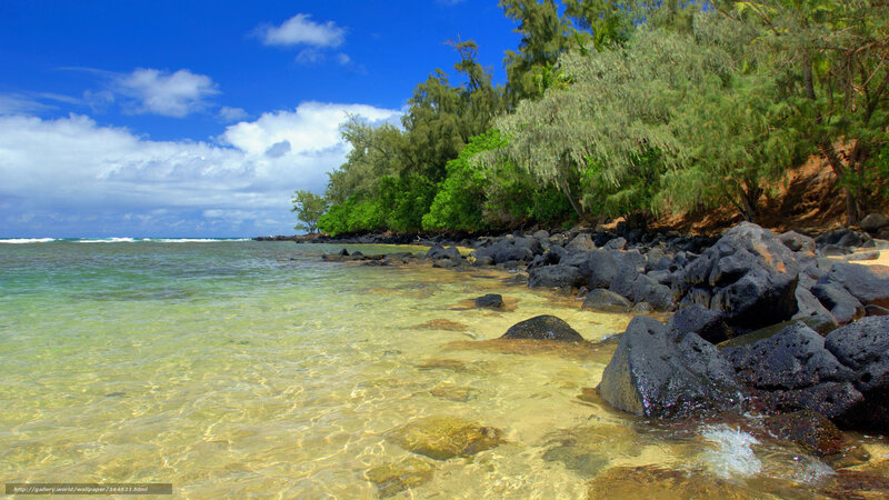 Tropical Beach Shoreline — Blue, Serene, Afternoon