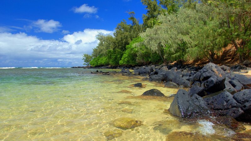 Tropical Beach Shoreline — Blue, Serene