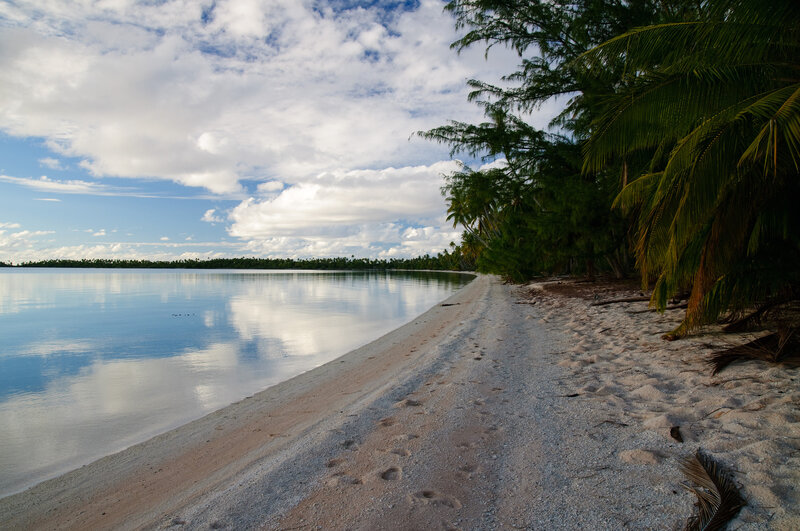 Tropical Beach Shoreline — Blue