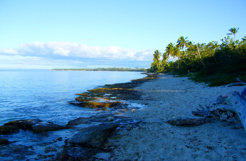 Tropical Beach Shoreline