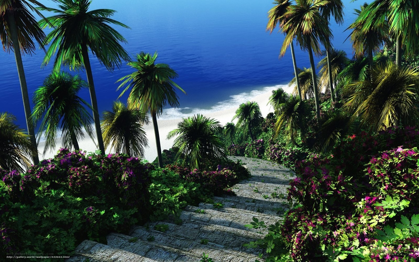 Tropical beach staircase