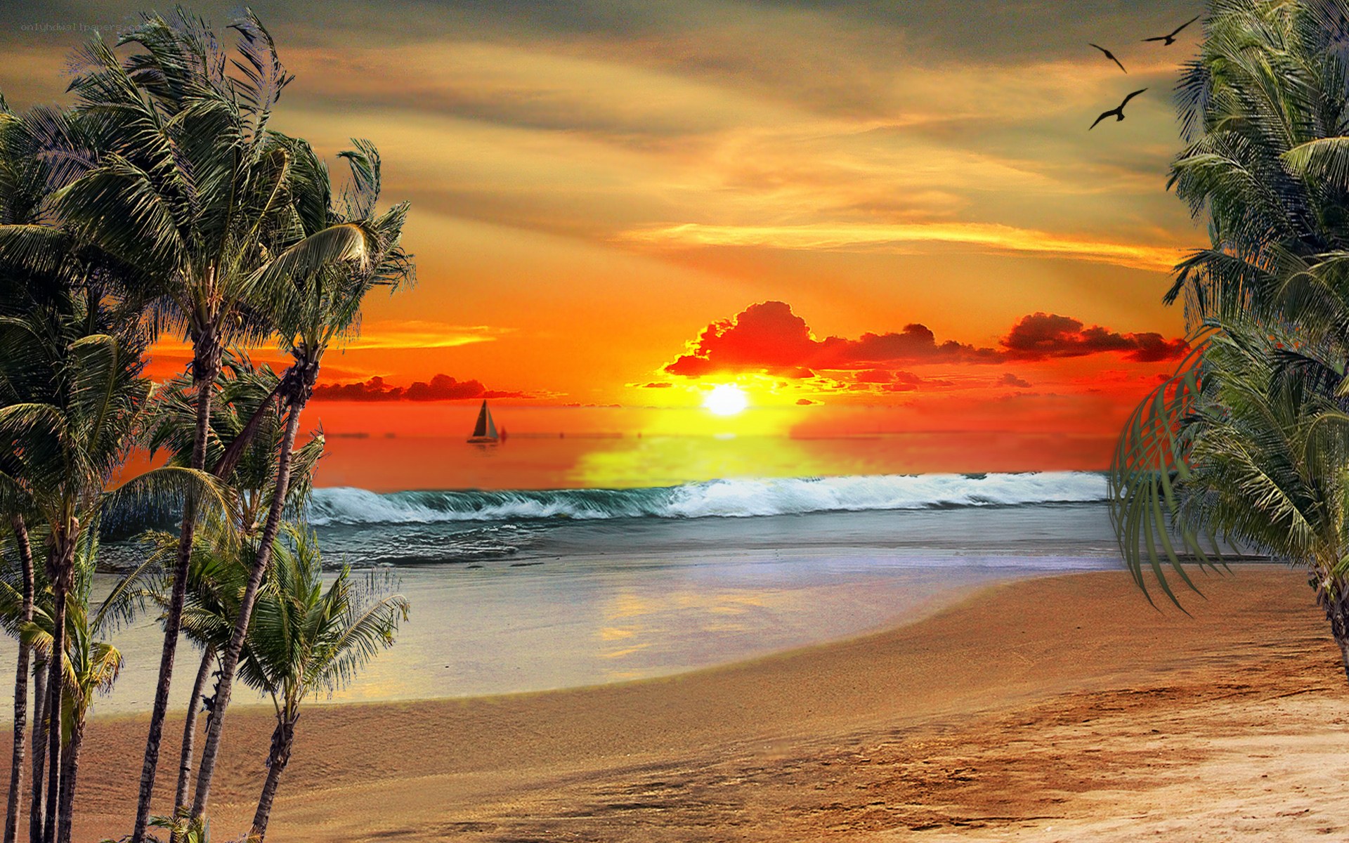 tropical beach sunset