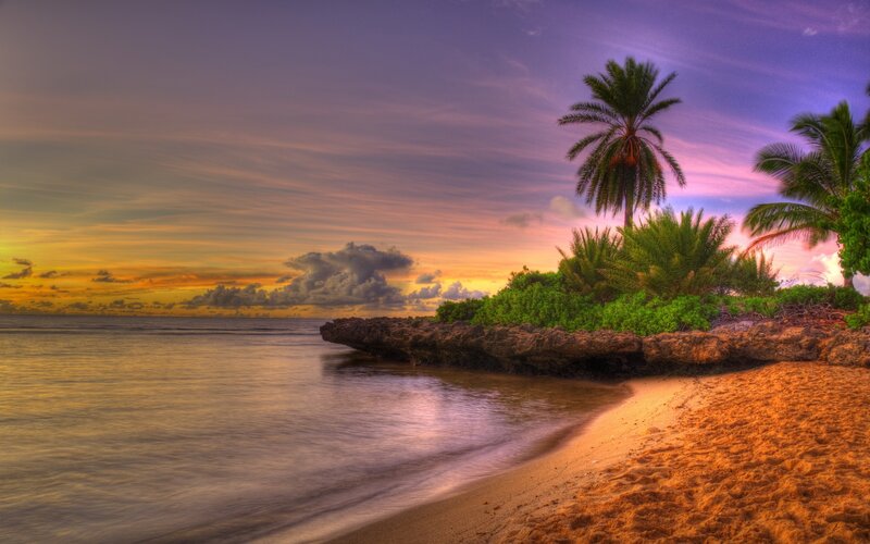 tropical beach sunset