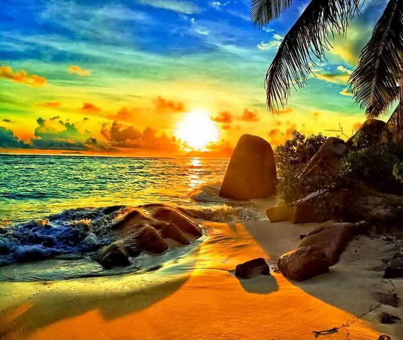 Tropical Beach Sunset — Blue, Dramatic, Photograph, Palm Tree