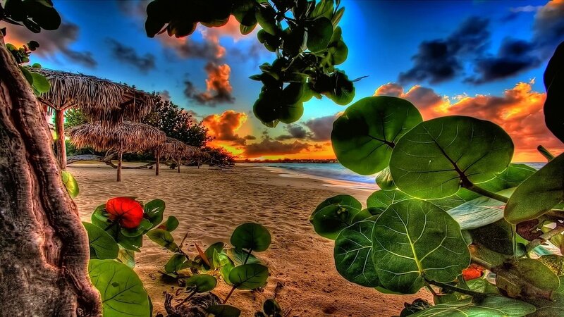 Tropical Beach Sunset — Blue, Dramatic, Photograph, Thatched Umbrellas