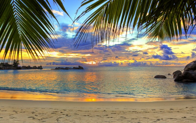 Tropical Beach Sunset — Blue, Serene, Photograph, Palm Fronds, Ocean, Rocks