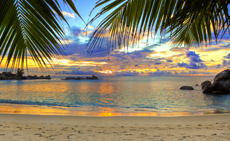 Tropical Beach Sunset — Blue, Serene, Photograph, Palm Fronds, Ocean