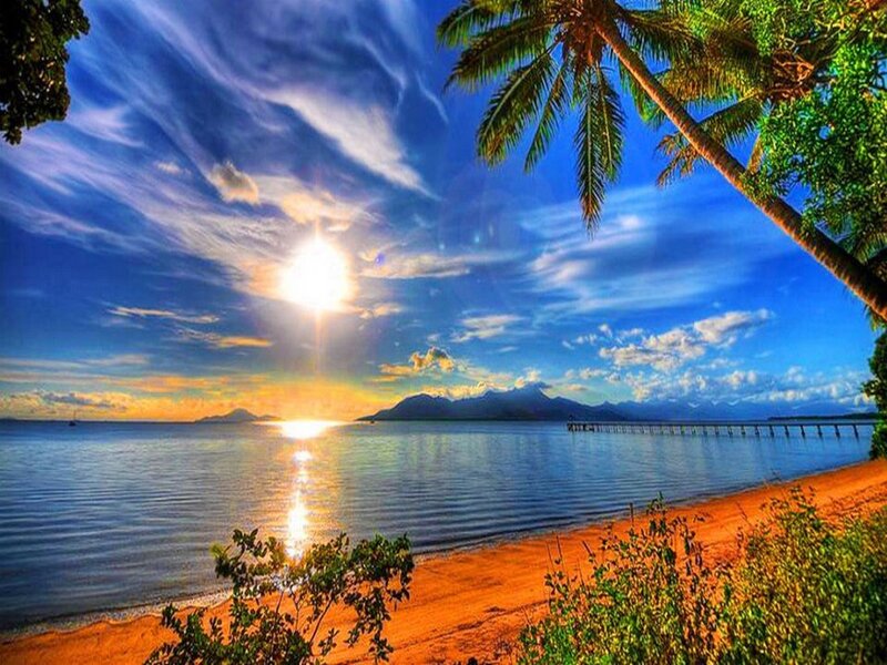 Tropical Beach Sunset — Blue, Serene, Photograph, Palm Tree