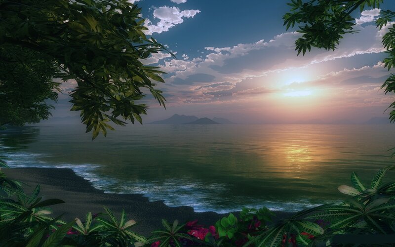 Tropical Beach Sunset — Green
