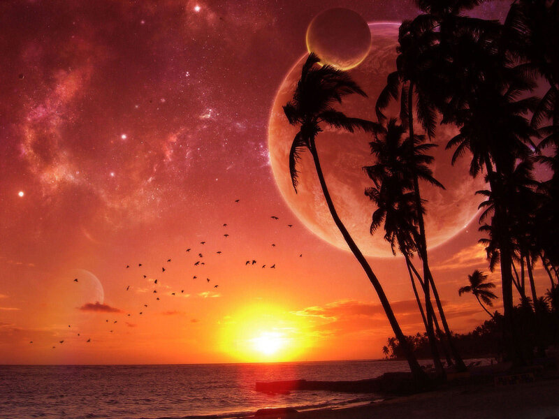 Tropical Beach Sunset — Orange, Dramatic, Digital Art, Palm Trees