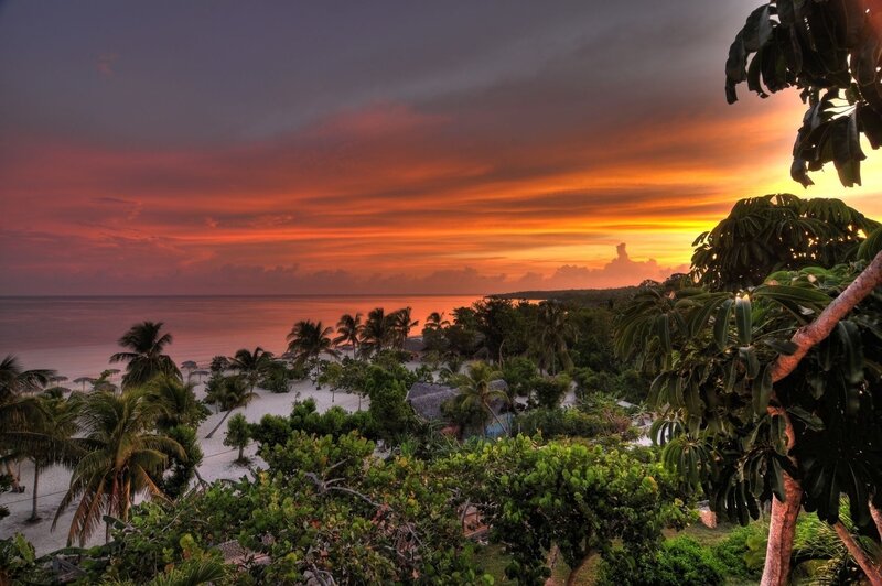 Tropical Beach Sunset — Orange, Dramatic, Photograph, Palm Trees