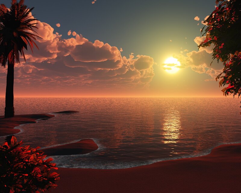 Tropical Beach Sunset — Orange, Serene, 3d Render, Palm Tree