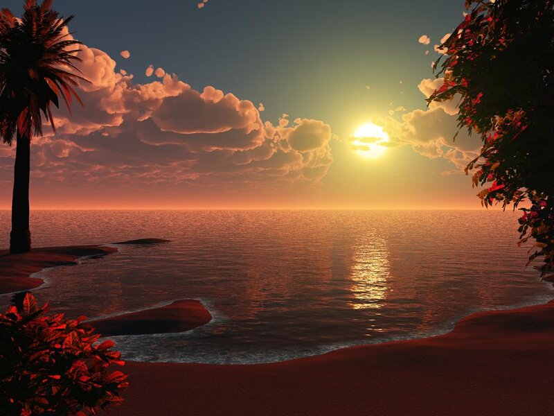 Tropical Beach Sunset — Orange, Serene, Digital Art, Palm Tree