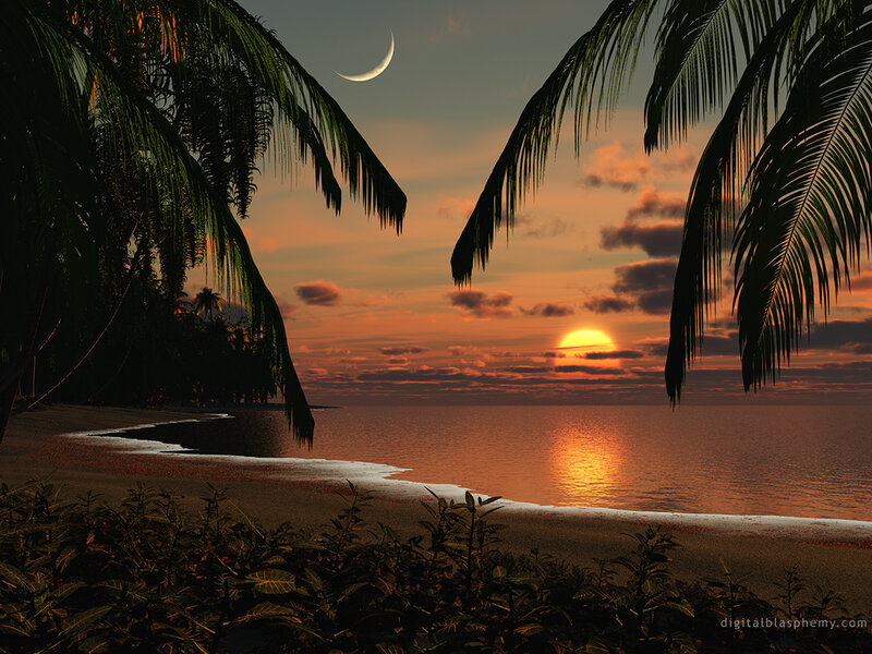 Tropical Beach Sunset — Orange, Serene, Digital Art, Palm Trees