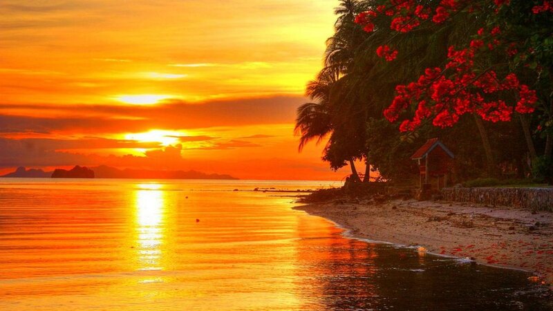 Tropical Beach Sunset — Orange, Serene, Photograph, Palm Trees