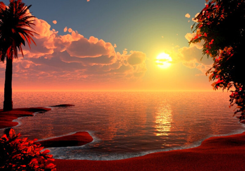 Tropical Beach Sunset — Orange, Serene