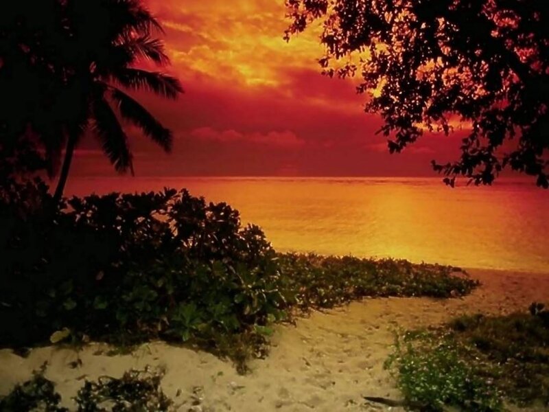 Tropical Beach Sunset — Red