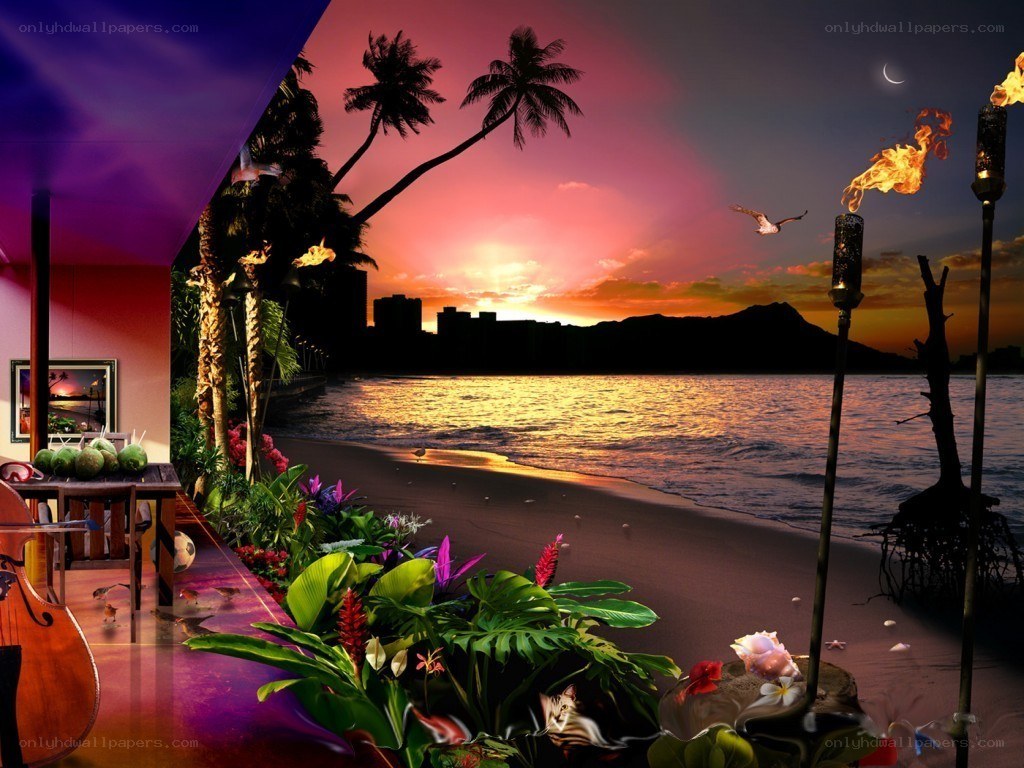 tropical beach sunset scene