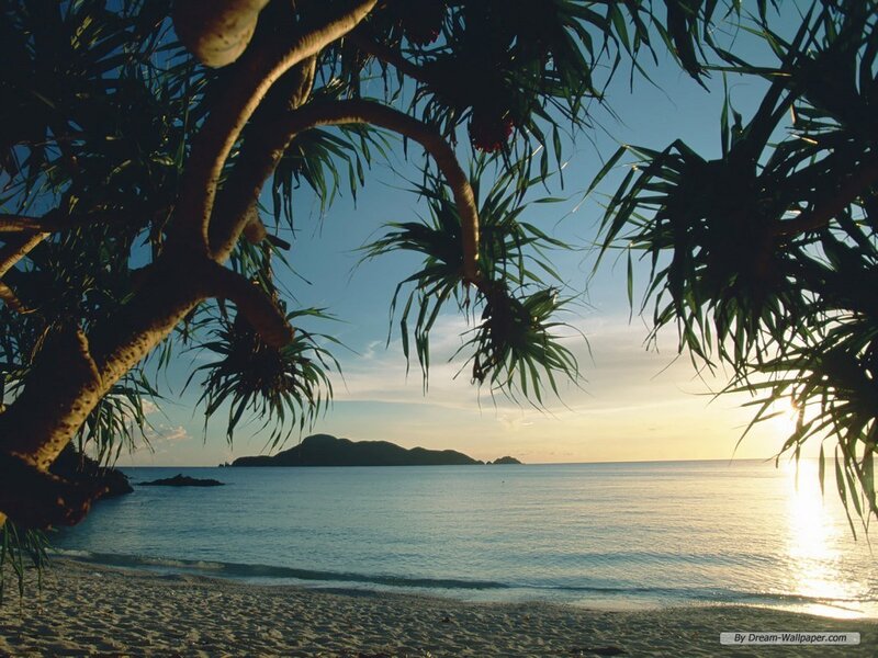 Tropical beach sunset view