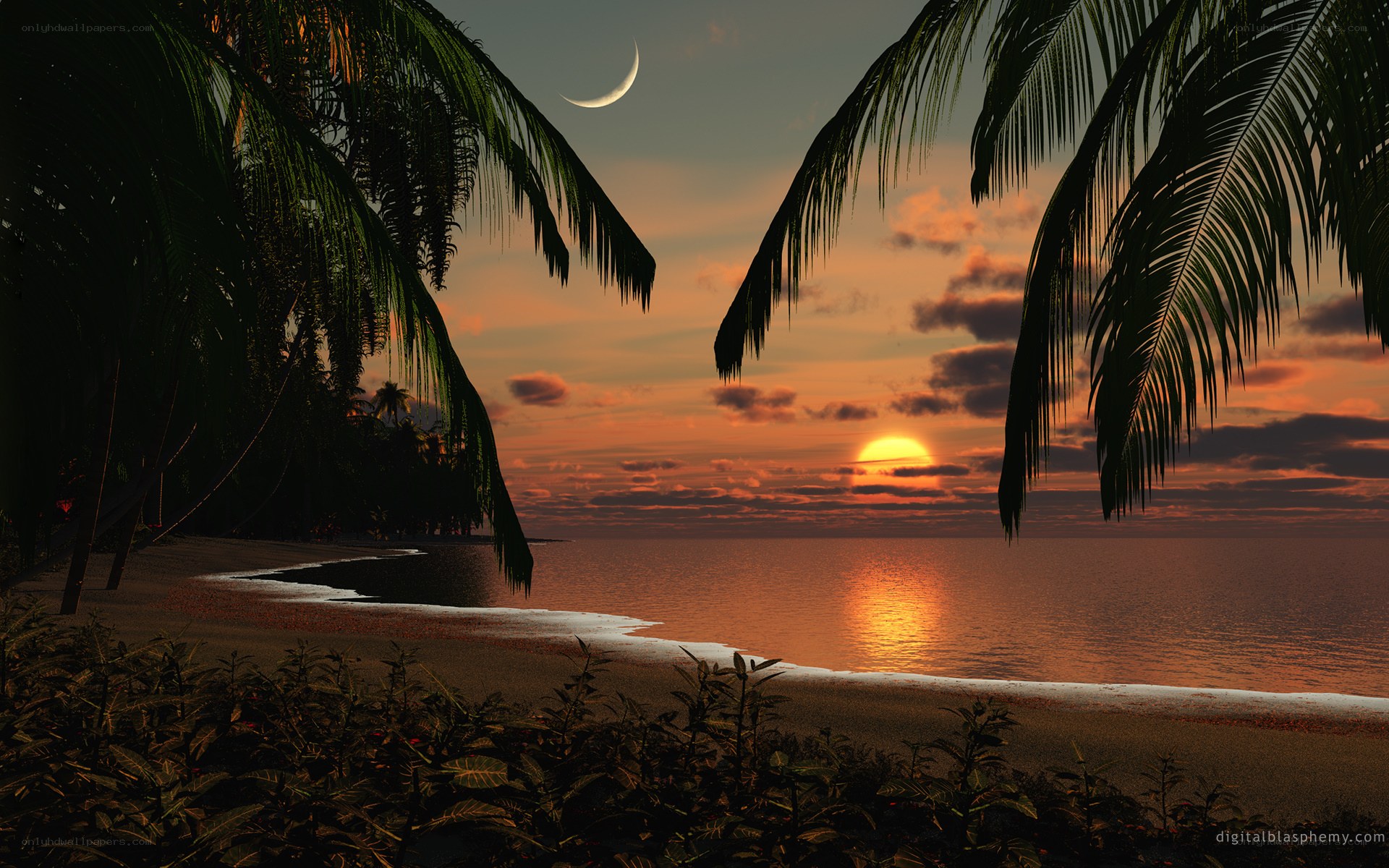 tropical beach sunset with moon