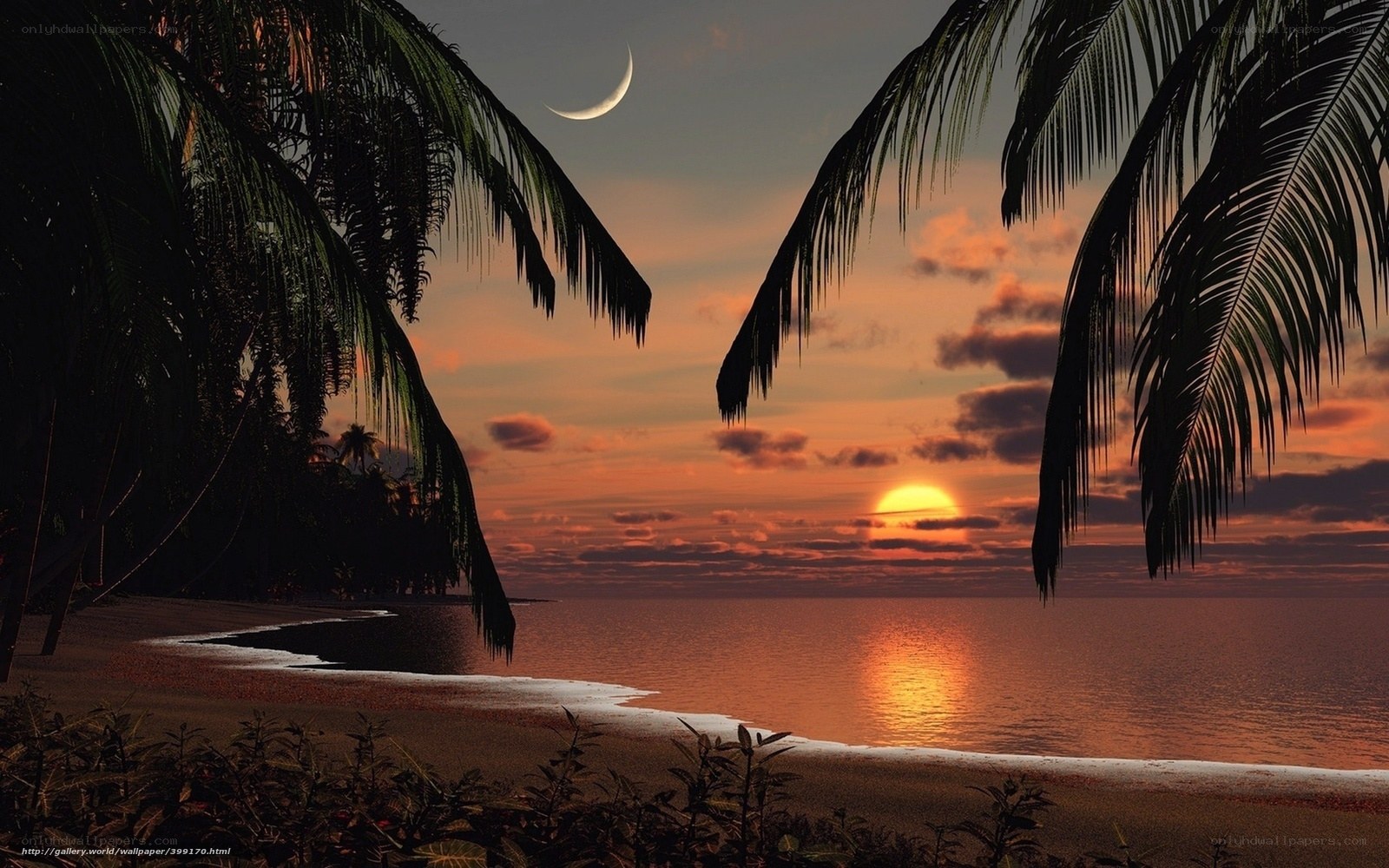 tropical beach sunset with moon