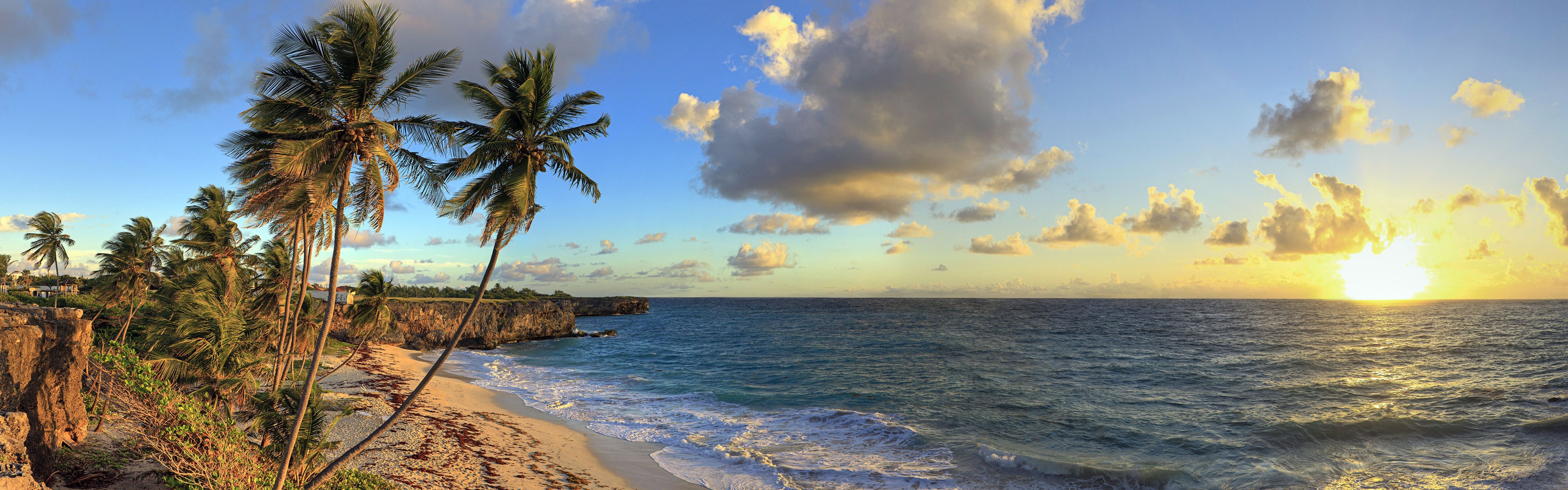 tropical beach sunset with palm trees