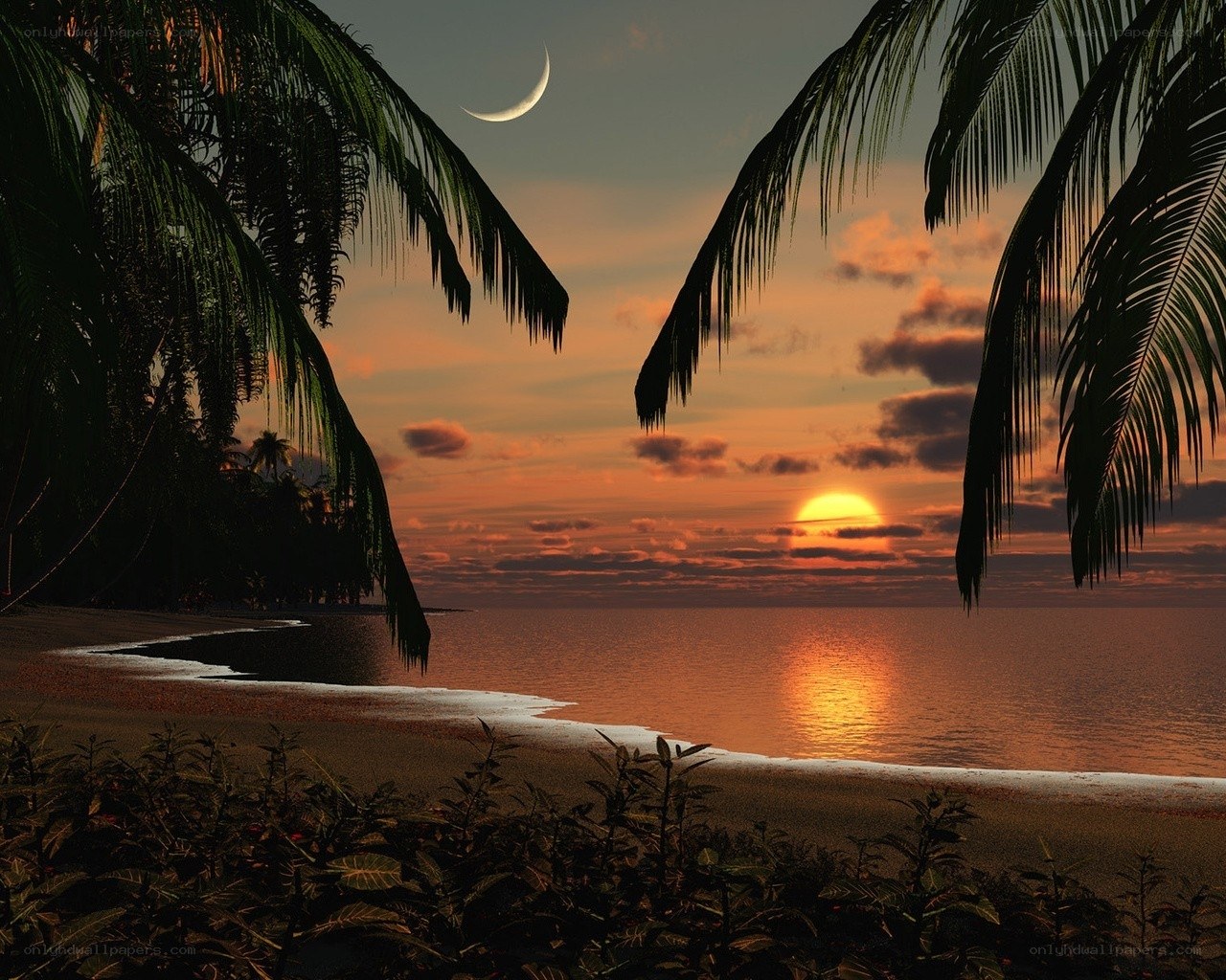 tropical beach sunset