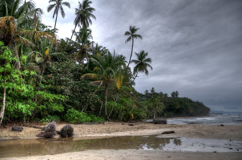 tropical beach under cloudy sky