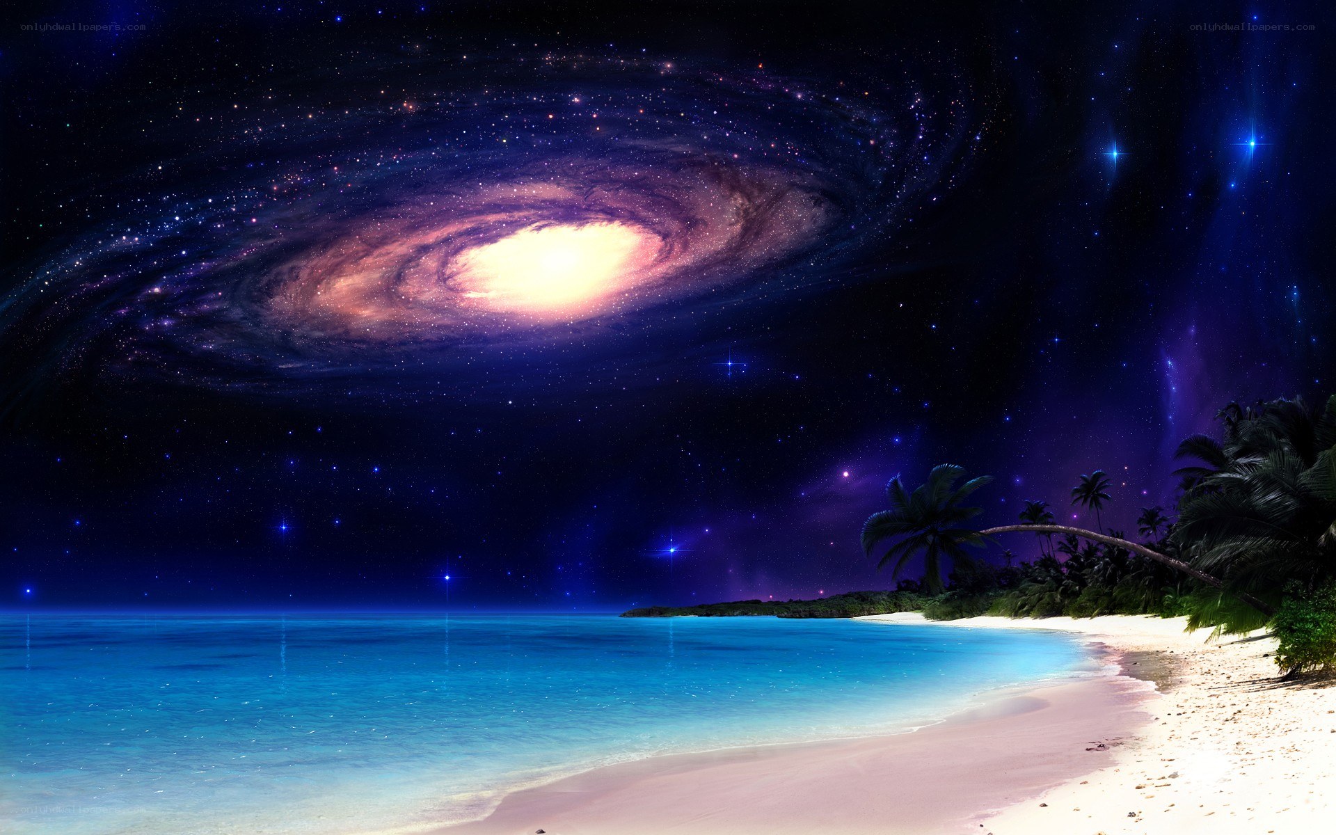 tropical beach under galaxy sky