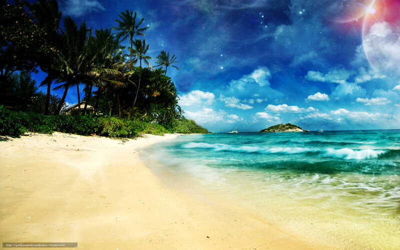 Tropical beach under starry sky