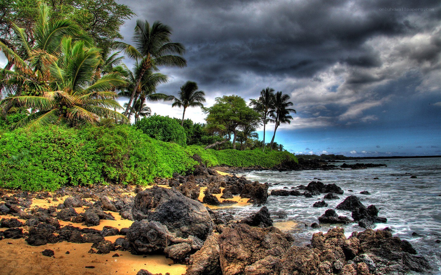 tropical beach under stormy sky