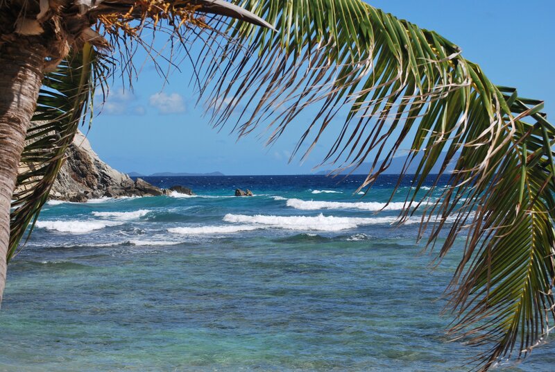 Tropical Beach View — Blue, Serene, Afternoon, Photograph, Palm Tree, Ocean, Rocks