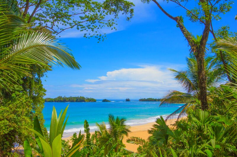 Tropical Beach View — Blue, Serene, Afternoon, Photograph, Palm Trees, Ocean