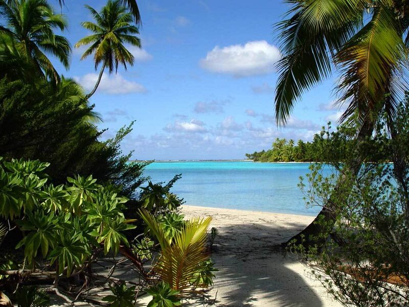 Tropical Beach View — Blue, Serene, Afternoon, Photograph, Palm Trees, Sand, Ocean