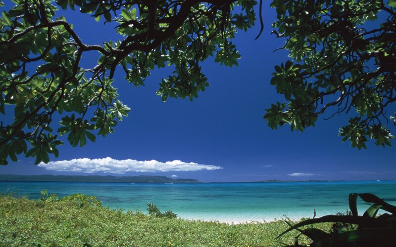 Tropical Beach View — Blue, Serene, Afternoon, Photograph, Trees, Ocean, Sky