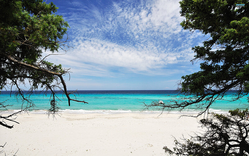 Tropical Beach View — Blue, Serene, Afternoon, Photograph, Trees