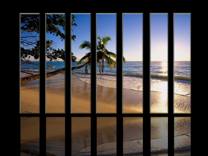 Tropical Beach View — Blue, Serene