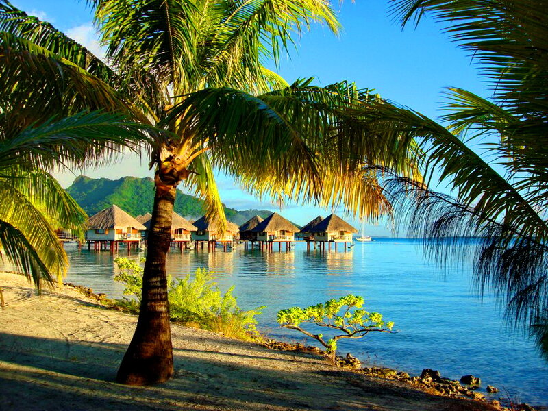 Tropical Beach Villas