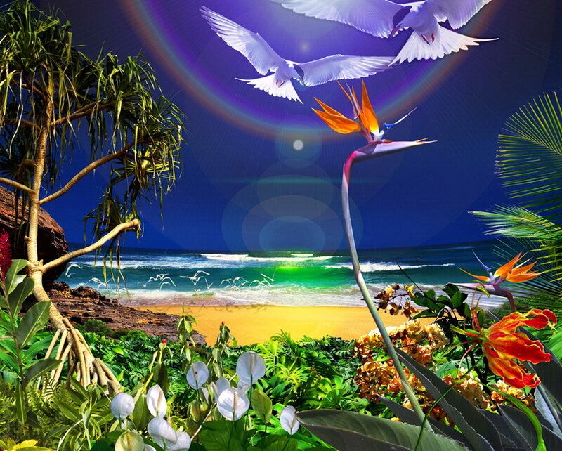 Tropical Beach with Birds