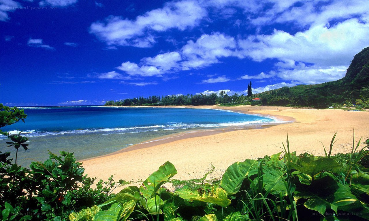 tropical beach with blue sky