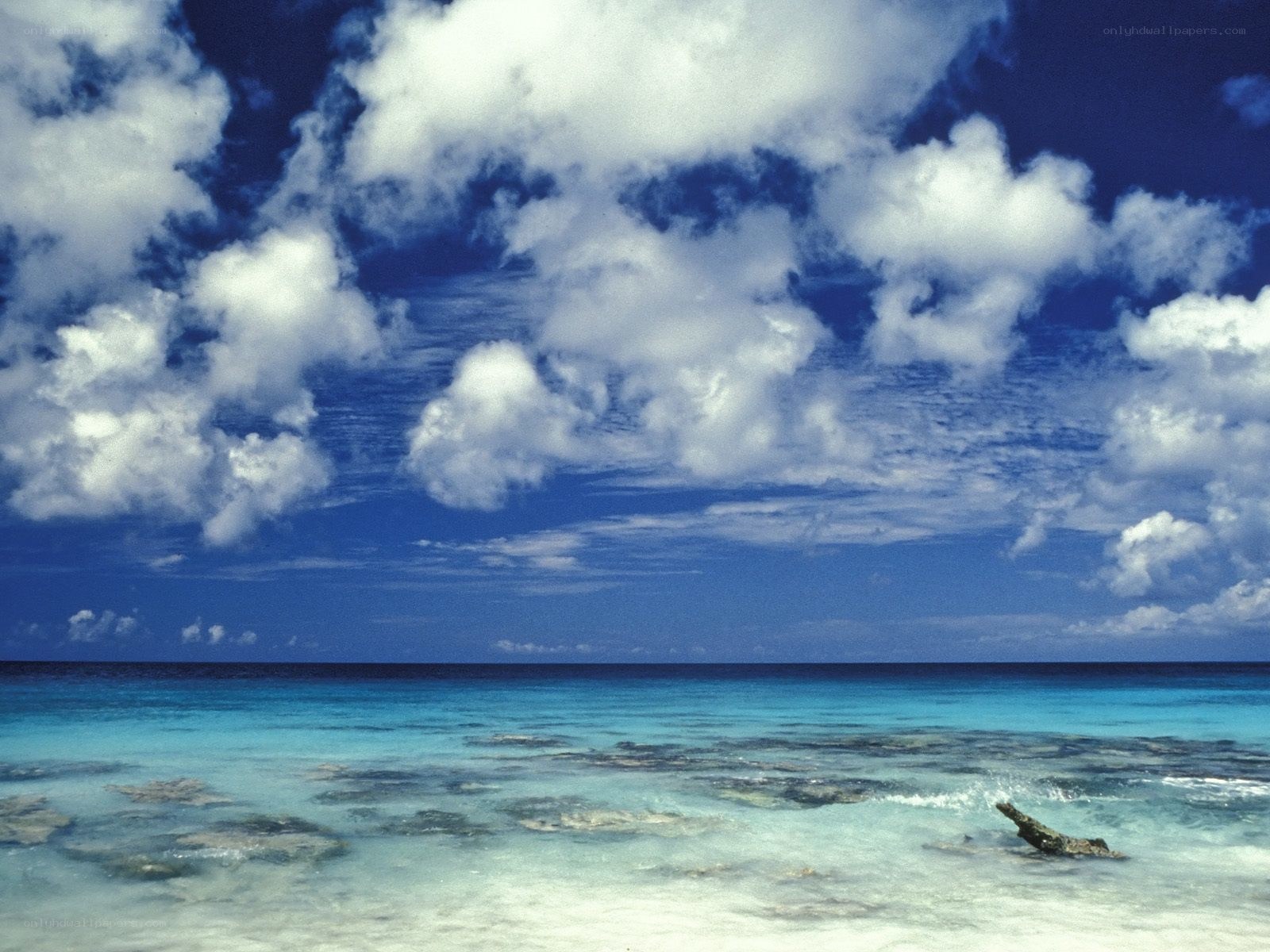 Tropical beach with blue sky