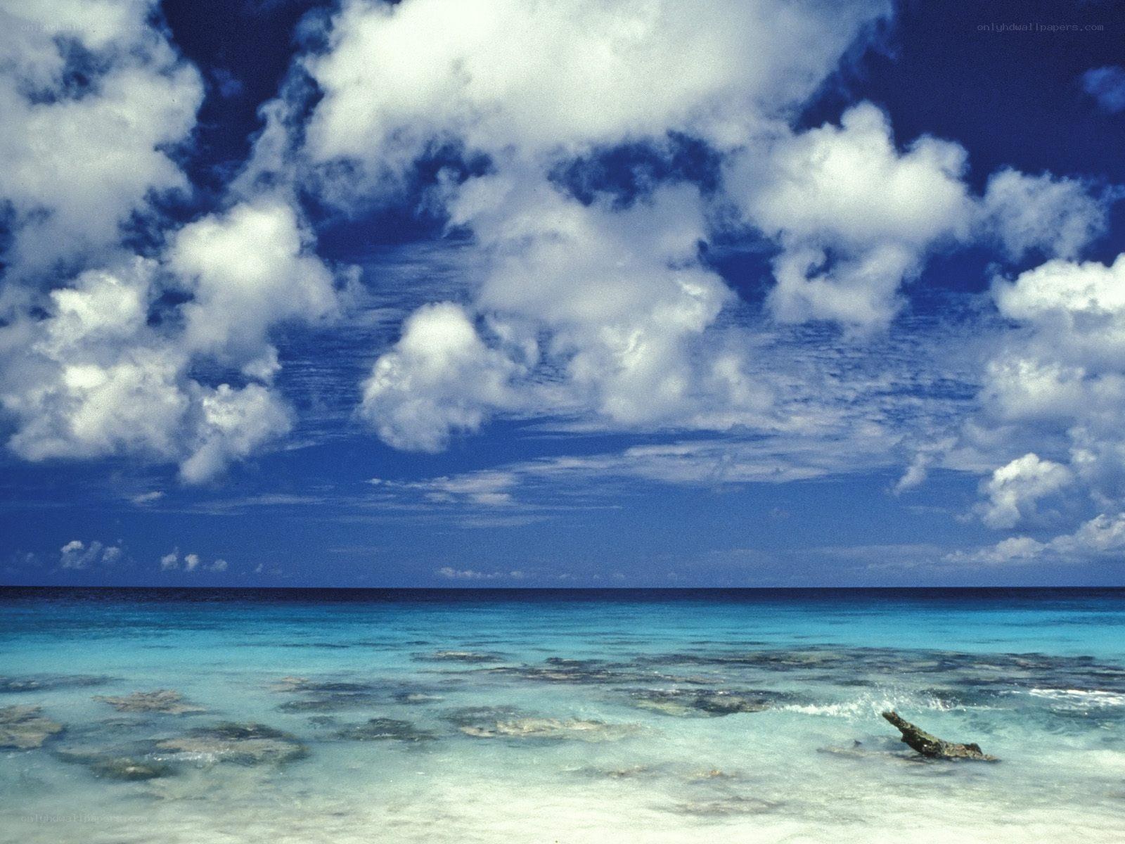 Tropical beach with blue sky
