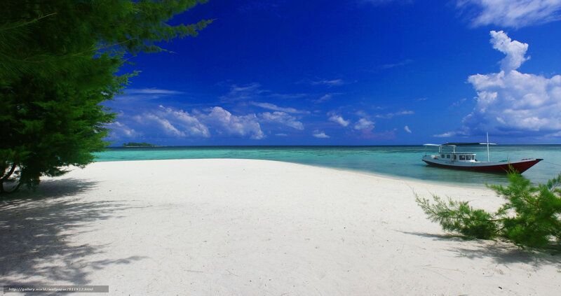 tropical beach with boat