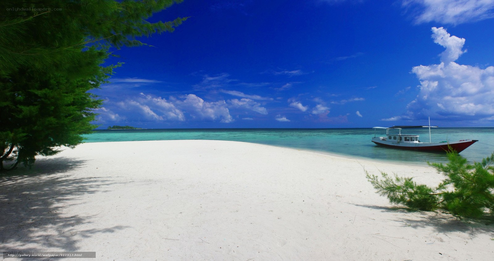 tropical beach with boat
