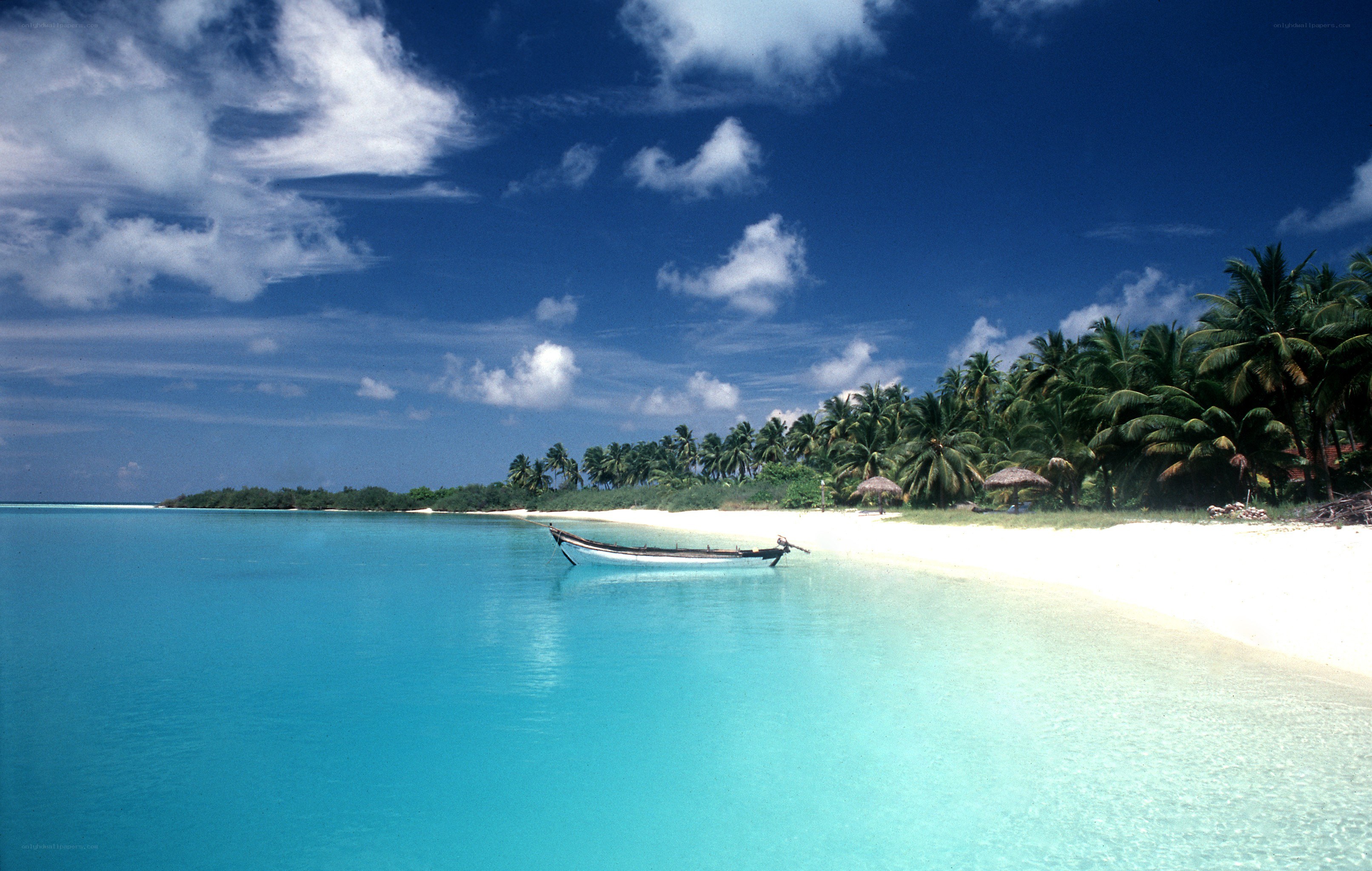 tropical beach with boat