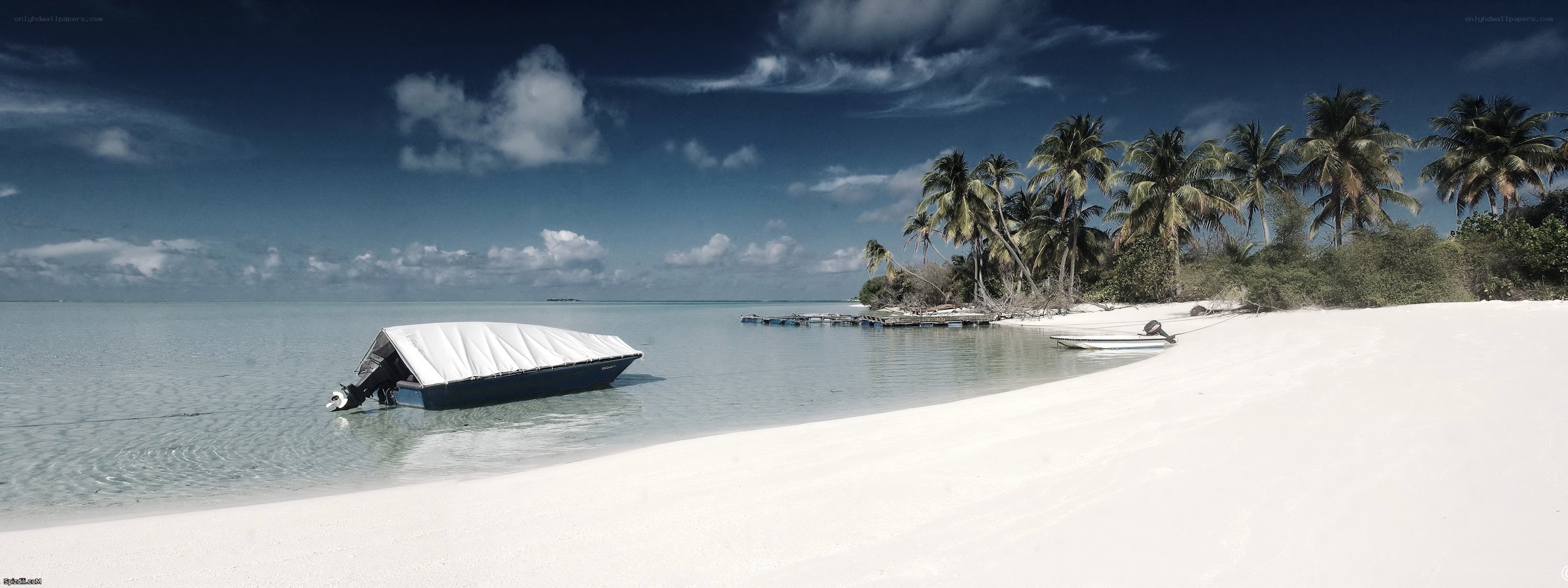 tropical beach with boat