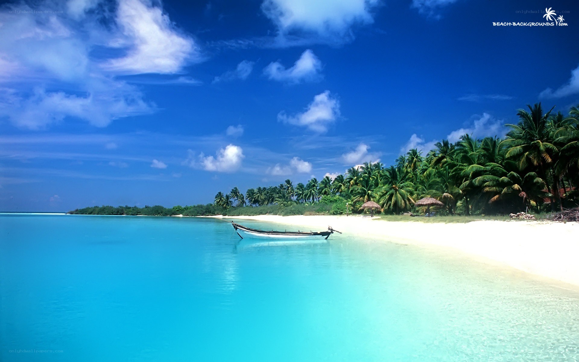 tropical beach with boat