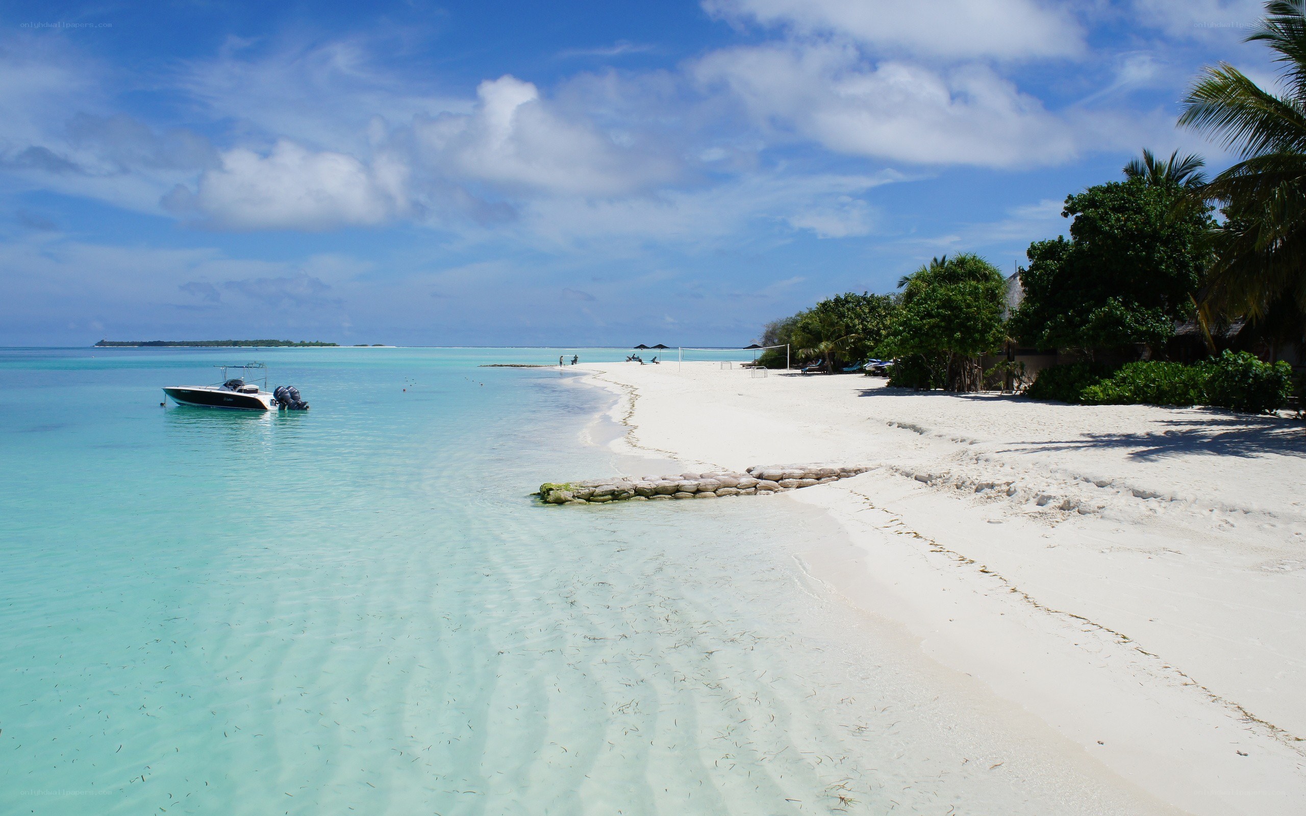 tropical beach with boat